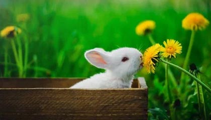 乐鱼体育官方下载-高控球+高效率+零封 曼城打出“赛季最佳比赛”